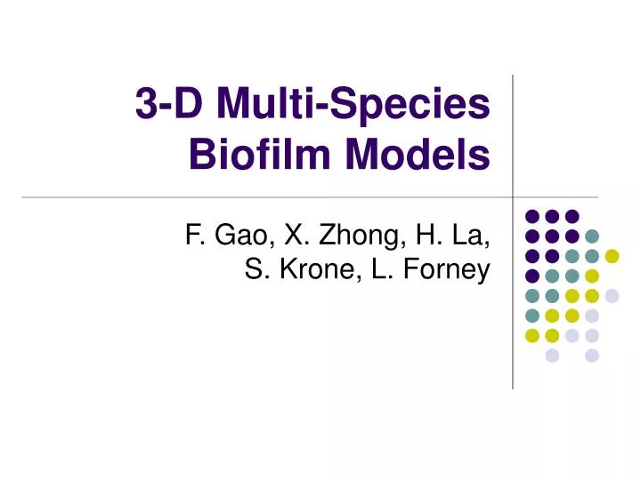 3 d multi species biofilm models