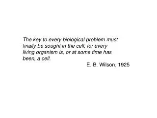 The key to every biological problem must finally be sought in the cell, for every