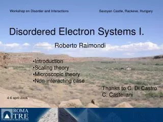 Disordered Electron Systems I.