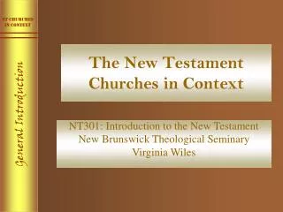 The New Testament Churches in Context