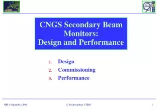 CNGS Secondary Beam Monitors: Design and Performance