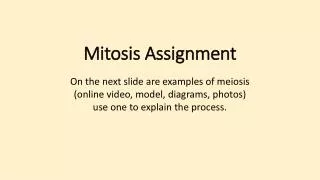 Mitosis Assignment