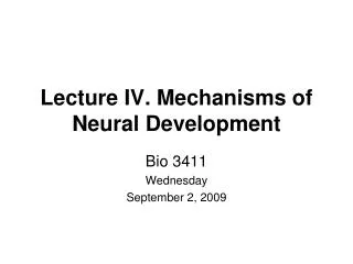 Lecture IV. Mechanisms of Neural Development
