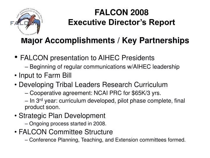 falcon 2008 executive director s report
