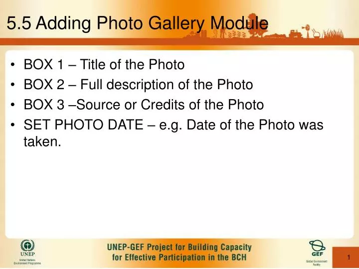 5 5 adding photo gallery module