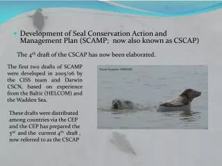 Development of Seal Conservation Action and Management Plan (SCAMP; now also known as CSCAP)