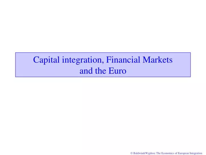 capital integration financial markets and the euro