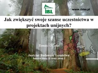 Jak zwi?kszy? swoje szanse uczestnictwa w projektach unijnych?