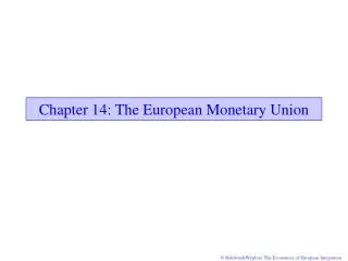 Chapter 14: The European Monetary Union