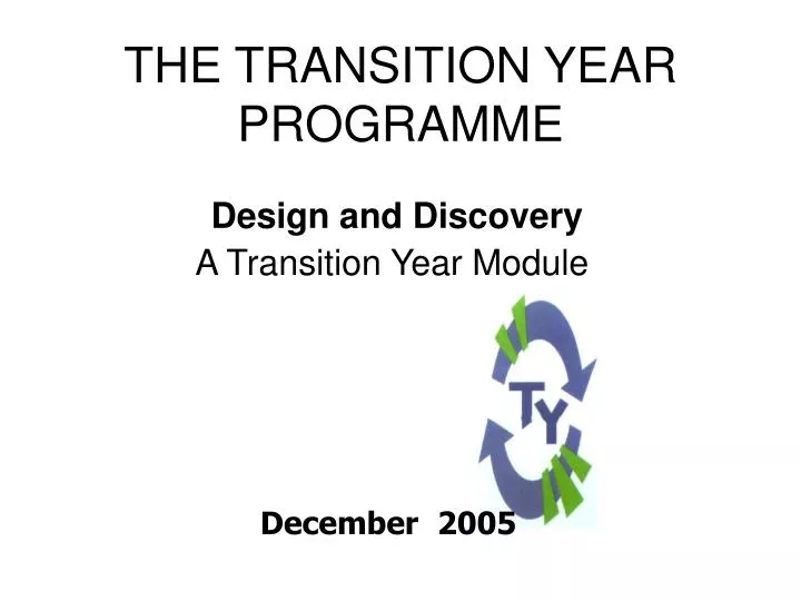 the transition year programme
