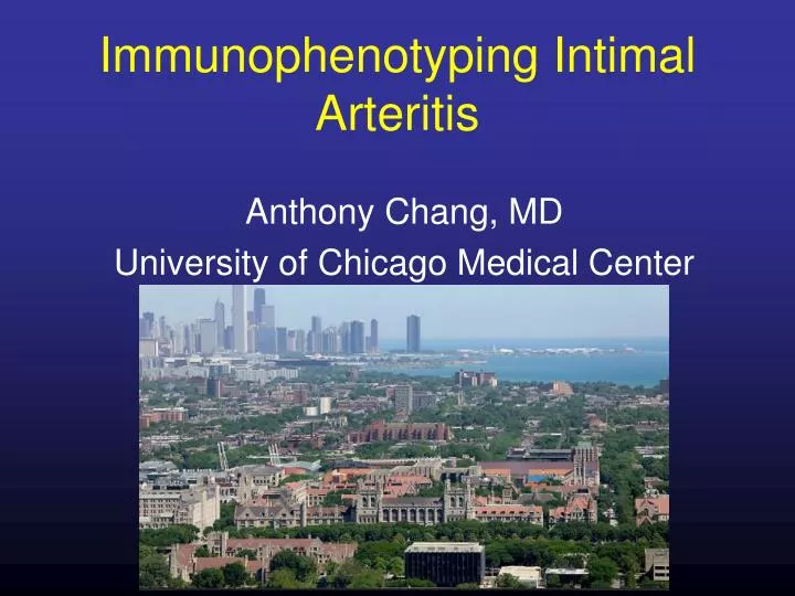 immunophenotyping intimal arteritis