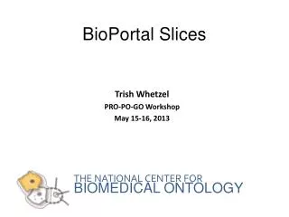 BioPortal Slices