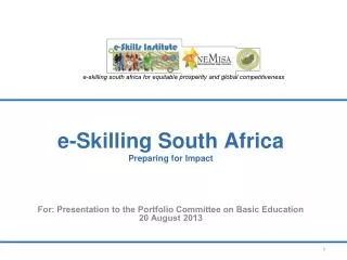 e-Skilling South Africa Preparing for Impact