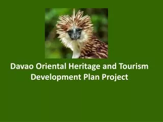 Davao Oriental Heritage and Tourism Development Plan Project