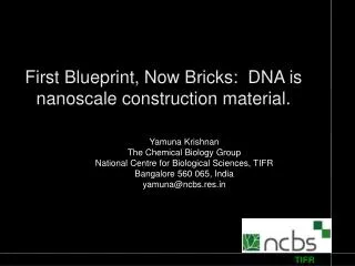 First Blueprint, Now Bricks: DNA is nanoscale construction material.