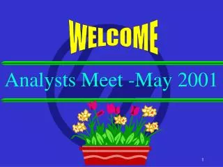 Analysts Meet -May 2001