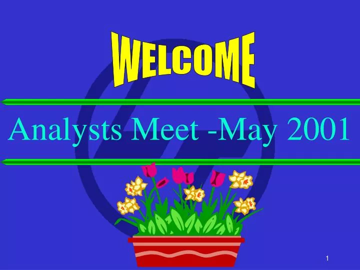 analysts meet may 2001