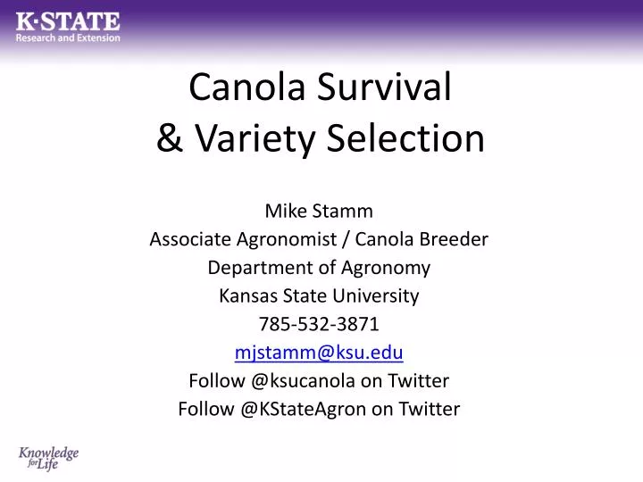 canola survival variety selection