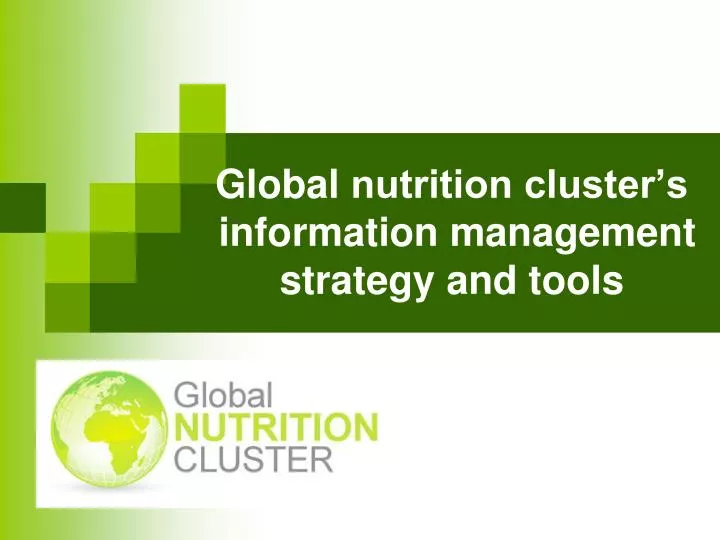 global nutrition cluster s information management strategy and tools