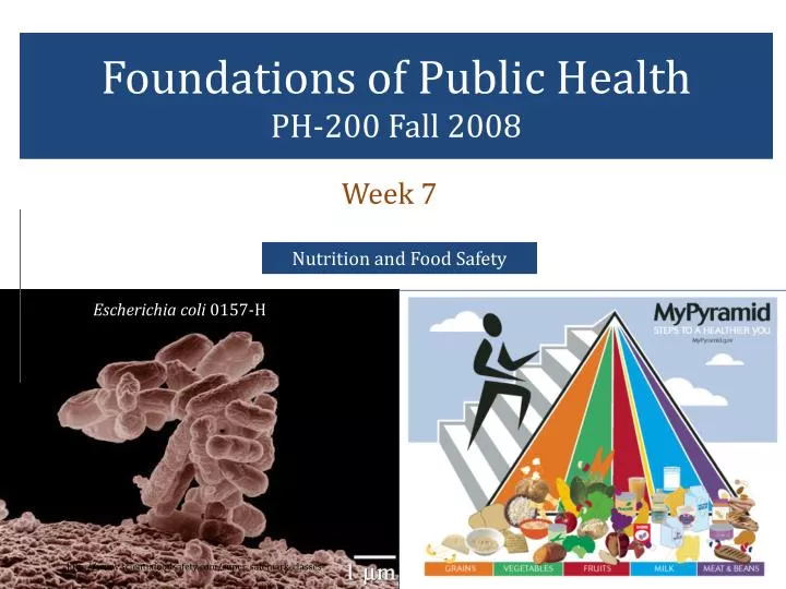 foundations of public health ph 200 fall 2008