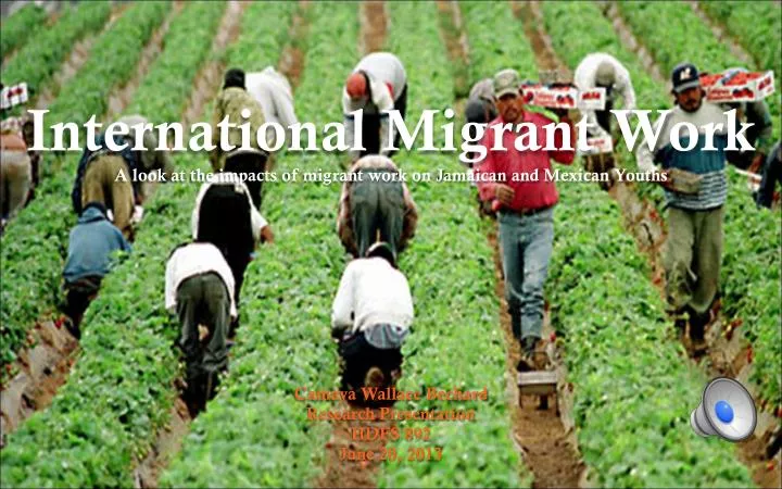 international migrant work a look at the impacts of migrant work o n jamaican and mexican youths