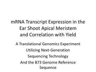 mRNA Transcript Expression in the Ear Shoot Apical Meristem and Correlation with Yield