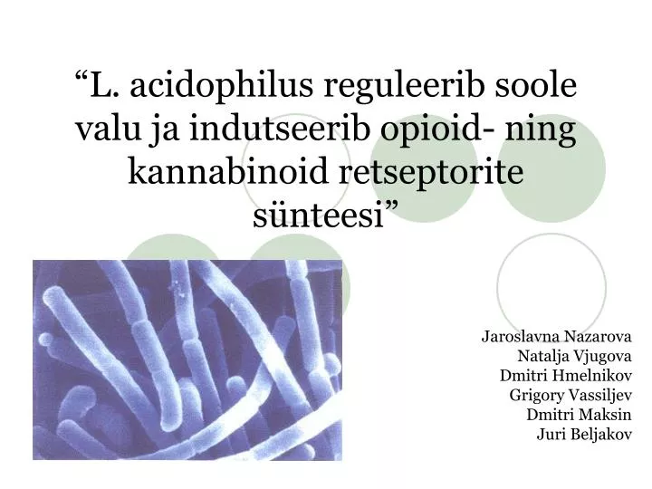 l acidophilus reguleerib soole valu ja indutseerib opioid ning kannabinoid retseptorite s nteesi