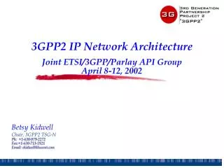3GPP2 IP Network Architecture Joint ETSI/3GPP/Parlay API Group April 8-12, 2002