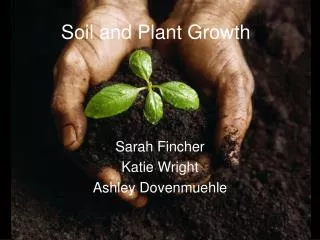 Soil and Plant Growth