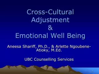 Cross-Cultural Adjustment &amp; Emotional Well Being