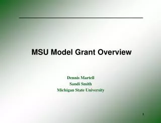 MSU Model Grant Overview