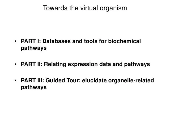towards the virtual organism