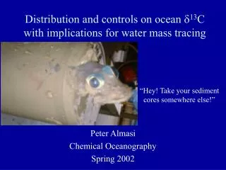 Distribution and controls on ocean ? 13 C with implications for water mass tracing