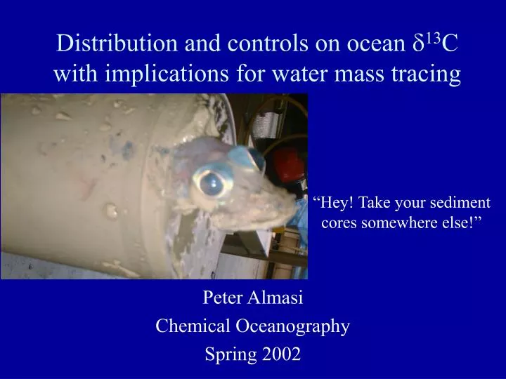 distribution and controls on ocean 13 c with implications for water mass tracing
