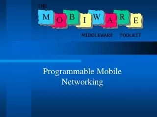 Programmable Mobile Networking