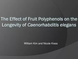 The Effect of Fruit Polyphenols on the Longevity of Caenorhabditis elegans