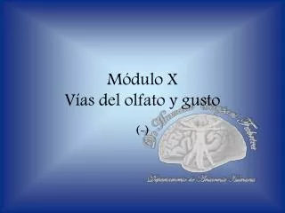m dulo x v as del olfato y gusto