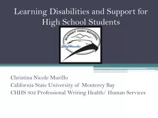 Learning Disabilities and Support for High School Students