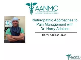 Naturopathic Approaches to Pain Management with Dr. Harry Adelson