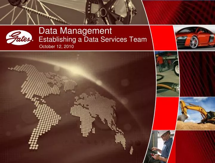 data management establishing a data services team