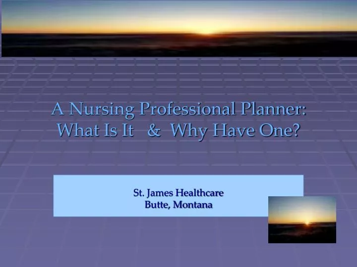 a nursing professional planner what is it why have one