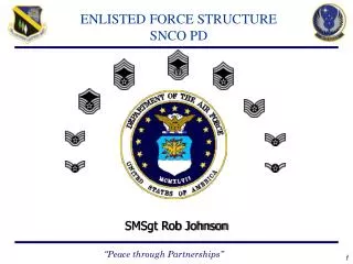 ENLISTED FORCE STRUCTURE SNCO PD