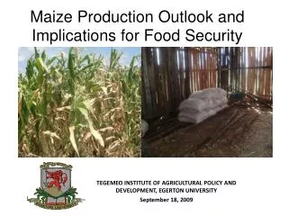 Maize Production Outlook and Implications for Food Security