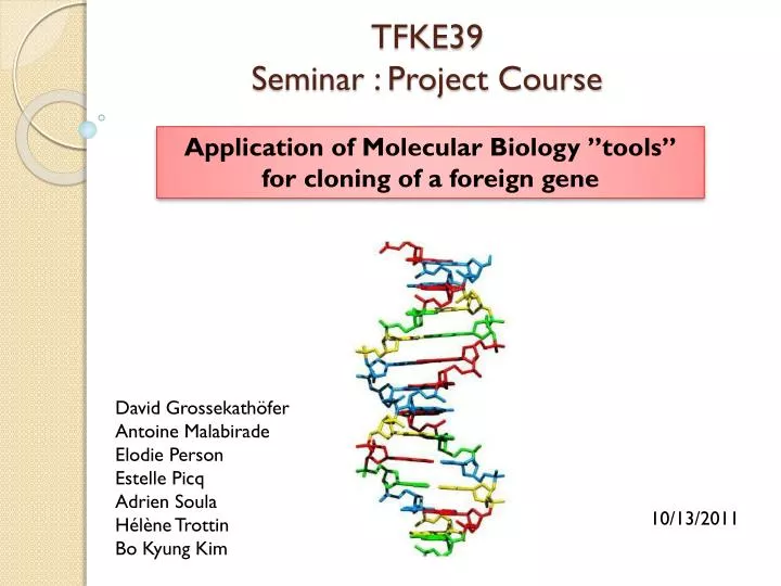 tfke39 seminar project course