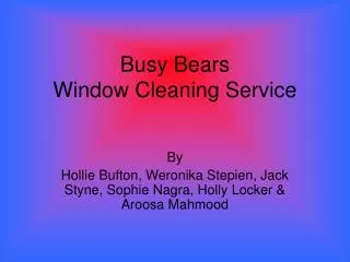 Busy Bears Window Cleaning Service