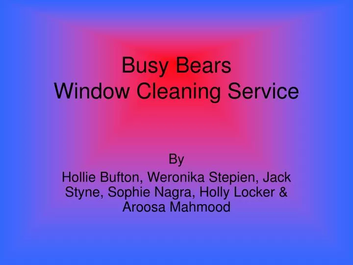 busy bears window cleaning service
