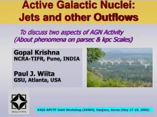 Active Galactic Nuclei: Jets and other Outflows
