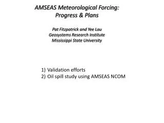 AMSEAS Meteorological Forcing: Progress &amp; Plans Pat Fitzpatrick and Yee Lau