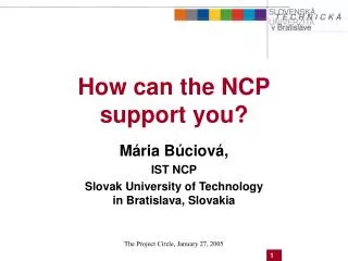 How can the NCP support you?