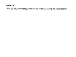 question : how are neurons in the primary visual cortex encoding the visual scene ?